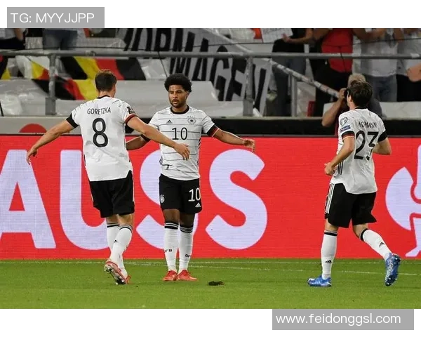 亚美尼亚与爱沙尼亚足球对决精彩回顾及赛后分析