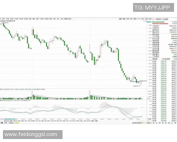 台北与澳大利亚精彩对决直播全程回顾与分析