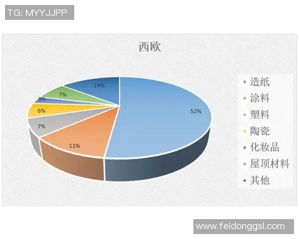 墨西哥与加拿大足球队身价差异分析及影响因素探讨 墨西哥与加拿大足球队身价差异分析及影响因素探讨
