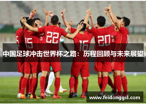 中国足球冲击世界杯之路：历程回顾与未来展望