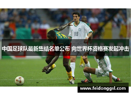 中国足球队最新集结名单公布 向世界杯资格赛发起冲击
