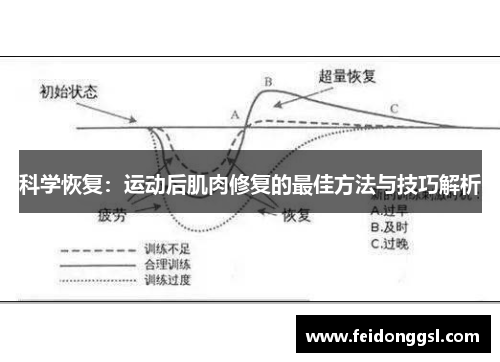 科学恢复：运动后肌肉修复的最佳方法与技巧解析