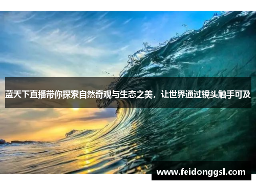 蓝天下直播带你探索自然奇观与生态之美，让世界通过镜头触手可及